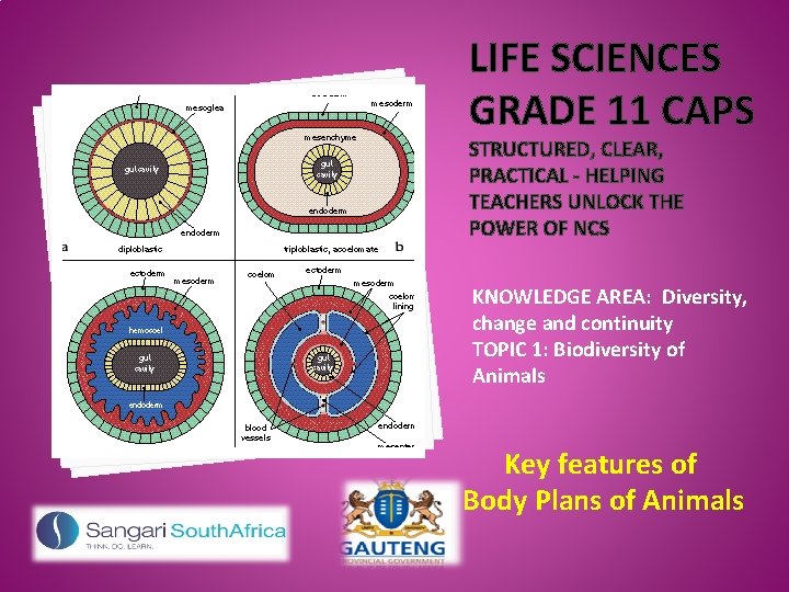 LIFE SCIENCES GRADE 11 CAPS STRUCTURED, CLEAR, PRACTICAL - HELPING TEACHERS UNLOCK THE POWER