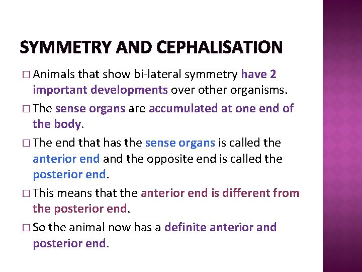 SYMMETRY AND CEPHALISATION � Animals that show bi-lateral symmetry have 2 important developments over
