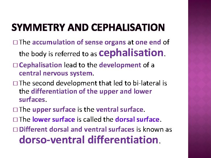 SYMMETRY AND CEPHALISATION � The accumulation of sense organs at one end of the