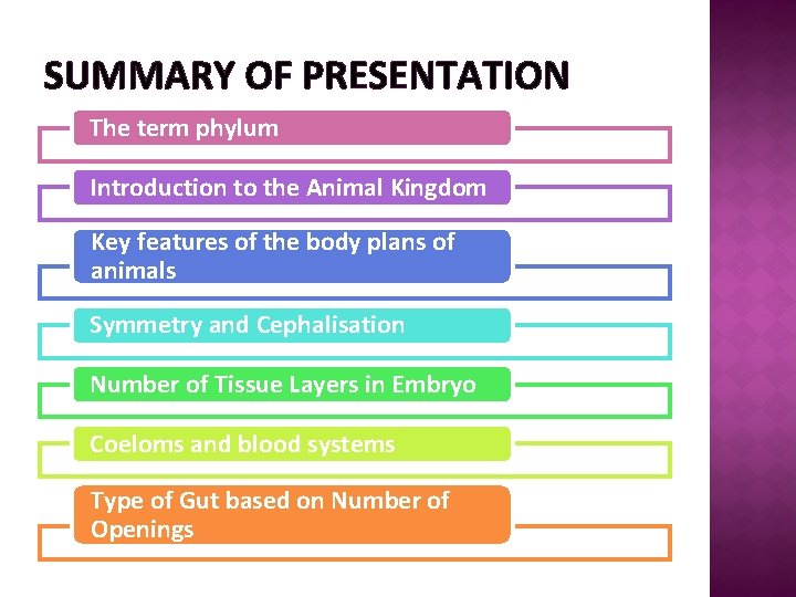 SUMMARY OF PRESENTATION The term phylum Introduction to the Animal Kingdom Key features of