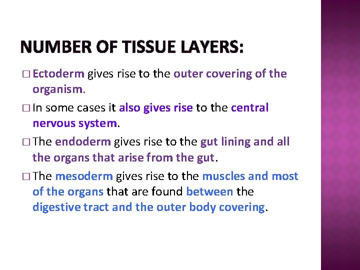 NUMBER OF TISSUE LAYERS: � Ectoderm gives rise to the outer covering of the