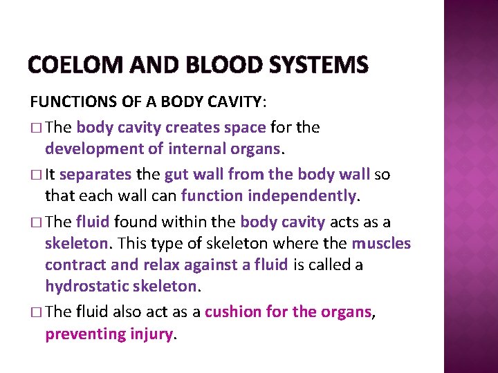 COELOM AND BLOOD SYSTEMS FUNCTIONS OF A BODY CAVITY: � The body cavity creates