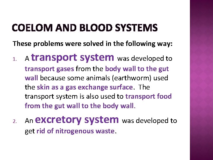 COELOM AND BLOOD SYSTEMS These problems were solved in the following way: 1. 2.