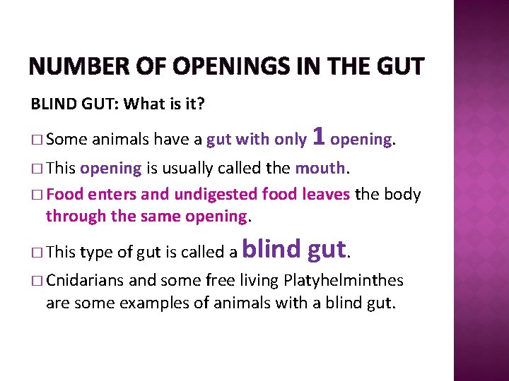 NUMBER OF OPENINGS IN THE GUT BLIND GUT: What is it? � Some animals