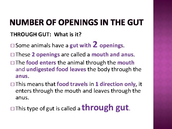 NUMBER OF OPENINGS IN THE GUT THROUGH GUT: What is it? animals have a
