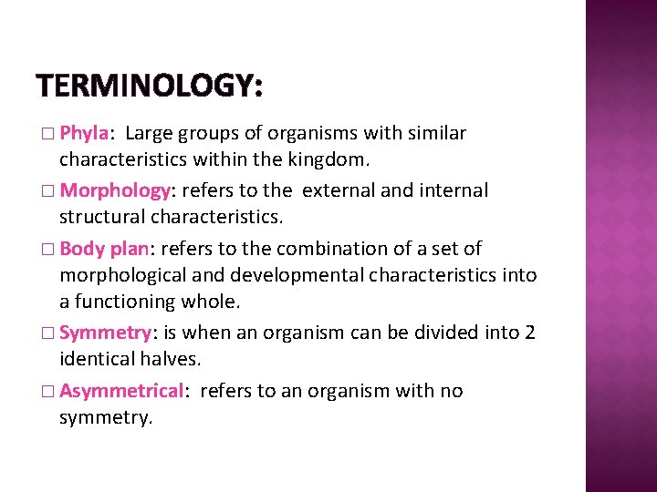TERMINOLOGY: � Phyla: Large groups of organisms with similar characteristics within the kingdom. �