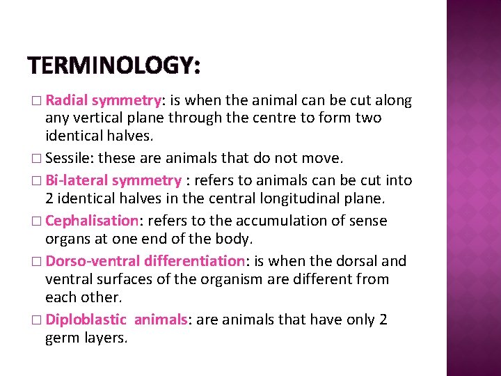 TERMINOLOGY: � Radial symmetry: is when the animal can be cut along any vertical