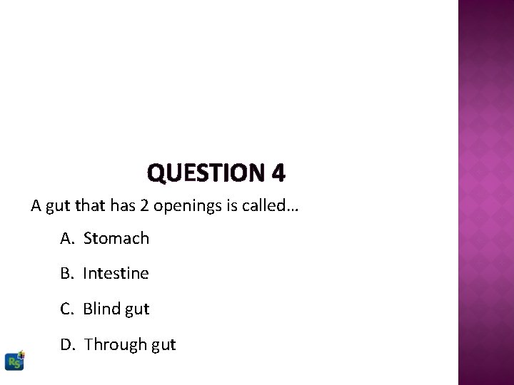QUESTION 4 A gut that has 2 openings is called… A. Stomach B. Intestine