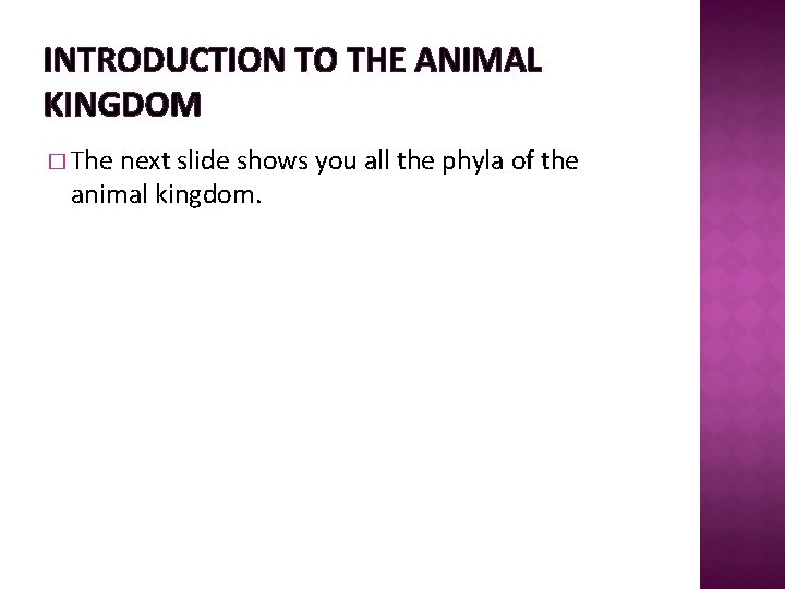 INTRODUCTION TO THE ANIMAL KINGDOM � The next slide shows you all the phyla