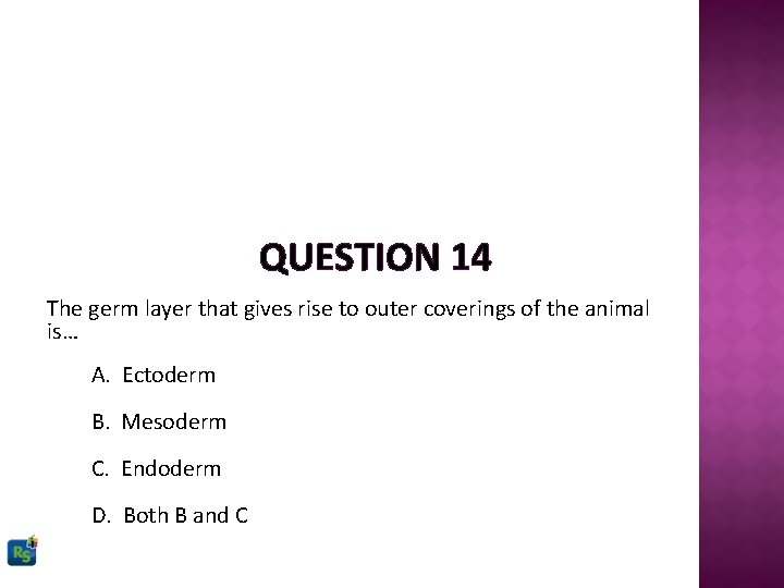 QUESTION 14 The germ layer that gives rise to outer coverings of the animal