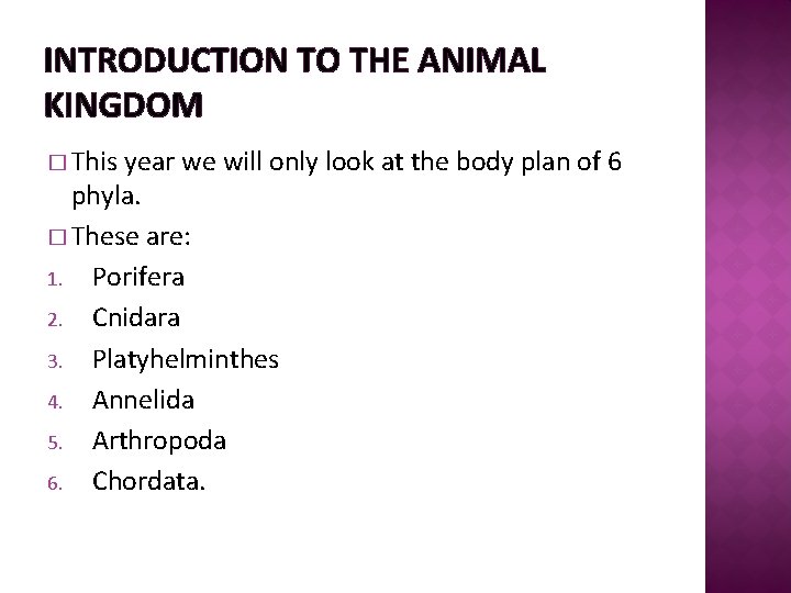 INTRODUCTION TO THE ANIMAL KINGDOM � This year we will only look at the