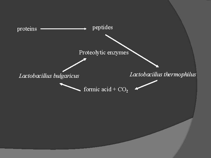 proteins peptides Proteolytic enzymes Lactobacillus thermophilus Lactobacillus bulgaricus formic acid + CO 2 