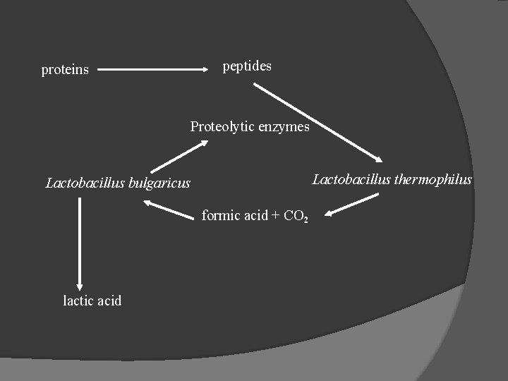 proteins peptides Proteolytic enzymes Lactobacillus thermophilus Lactobacillus bulgaricus formic acid + CO 2 lactic