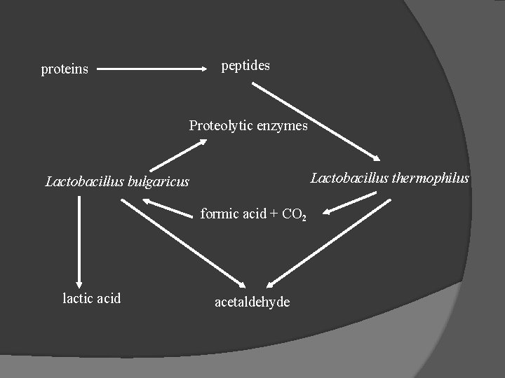 proteins peptides Proteolytic enzymes Lactobacillus thermophilus Lactobacillus bulgaricus formic acid + CO 2 lactic