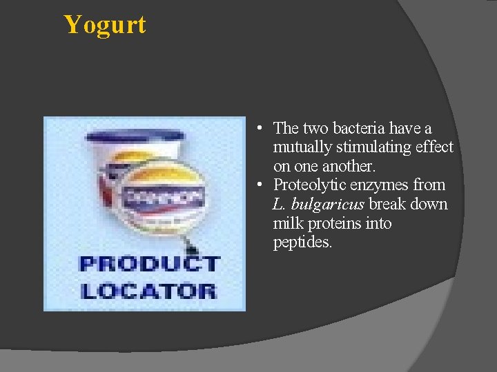 Yogurt • The two bacteria have a mutually stimulating effect on one another. •