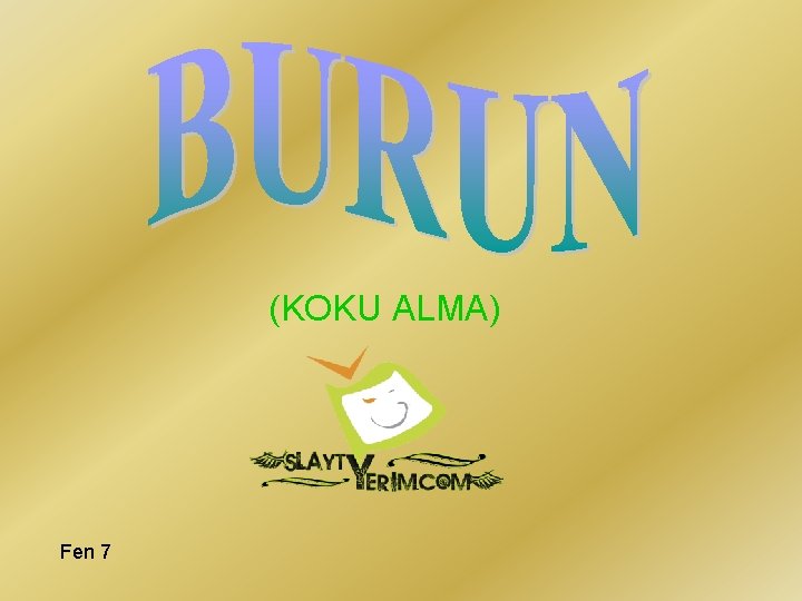 (KOKU ALMA) Fen 7 