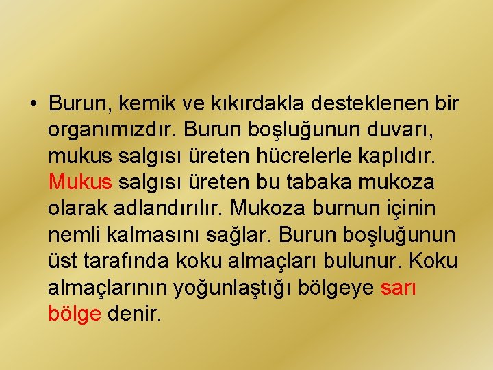  • Burun, kemik ve kıkırdakla desteklenen bir organımızdır. Burun boşluğunun duvarı, mukus salgısı