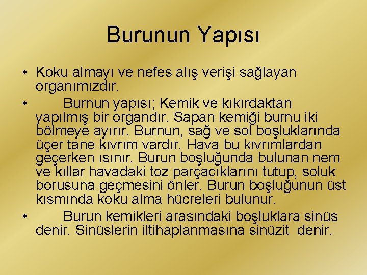Burunun Yapısı • Koku almayı ve nefes alış verişi sağlayan organımızdır. • Burnun yapısı;