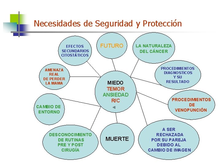 Necesidades de Seguridad y Protección EFECTOS SECUNDARIOS CITOSTÁTICOS AMENAZA REAL DE PERDER LA MAMA