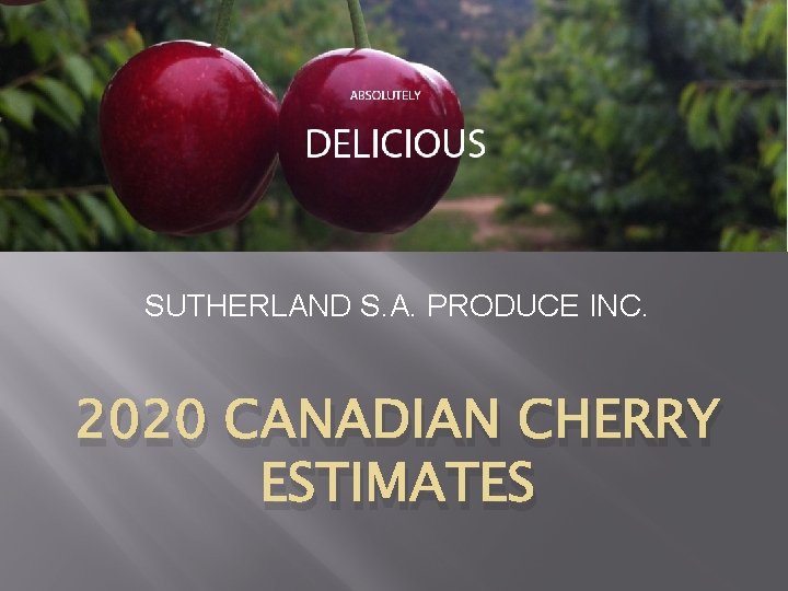 SUTHERLAND S. A. PRODUCE INC. 2020 CANADIAN CHERRY ESTIMATES 