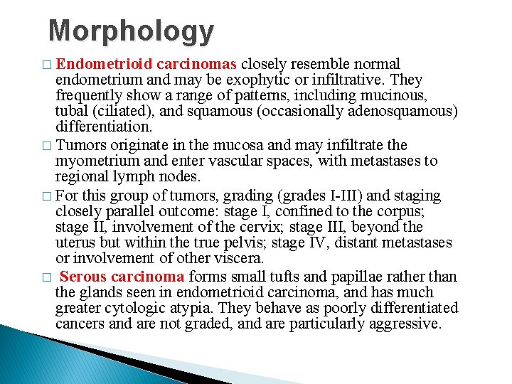 Morphology � Endometrioid carcinomas closely resemble normal endometrium and may be exophytic or infiltrative.