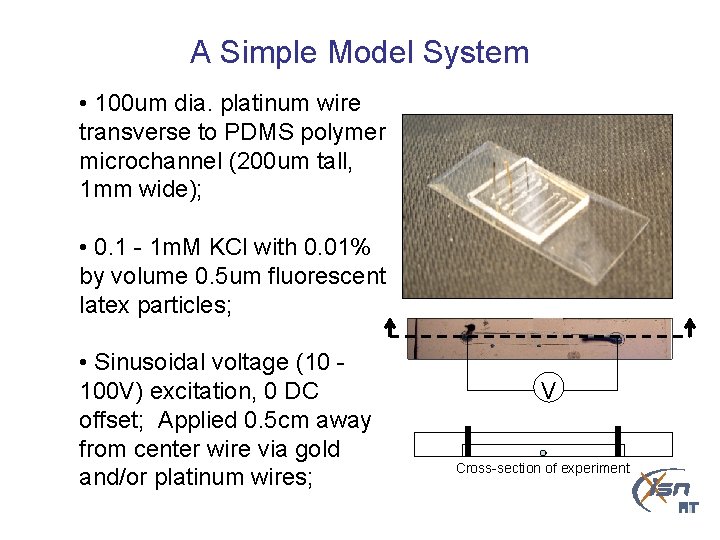 A Simple Model System • 100 um dia. platinum wire transverse to PDMS polymer