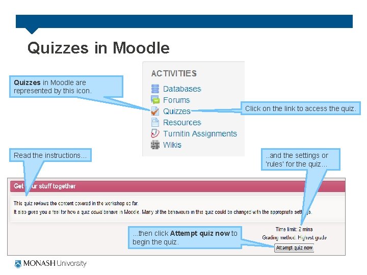 Quizzes in Moodle are represented by this icon. Click on the link to access