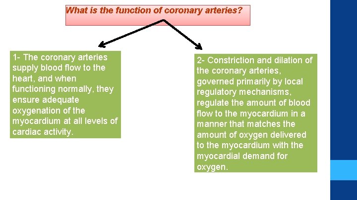 What is the function of coronary arteries? 1 - The coronary arteries supply blood What is the function of coronary arteries? 1 - The coronary arteries supply blood