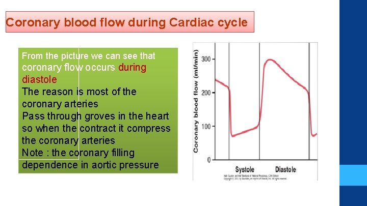 Coronary blood flow during Cardiac cycle i From the picture we can see that Coronary blood flow during Cardiac cycle i From the picture we can see that