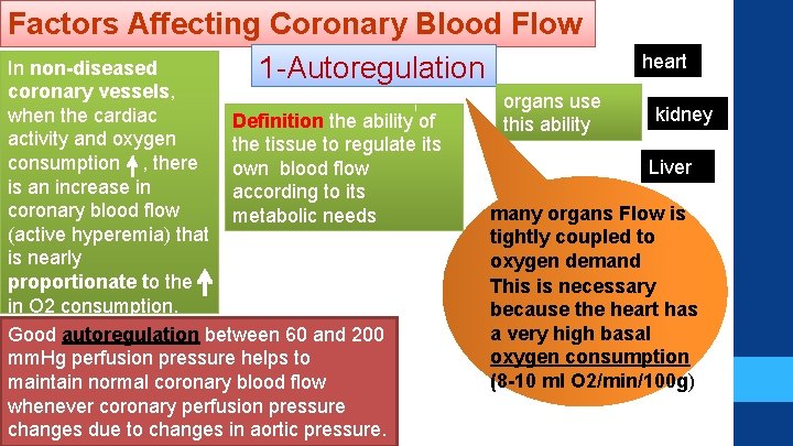 Factors Affecting Coronary Blood Flow In non-diseased 1 -Autoregulation coronary vessels, when the cardiac Factors Affecting Coronary Blood Flow In non-diseased 1 -Autoregulation coronary vessels, when the cardiac