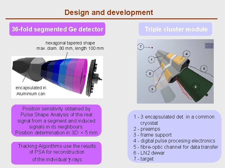 Design and development 36 -fold segmented Ge detector Triple cluster module hexagonal tapered shape