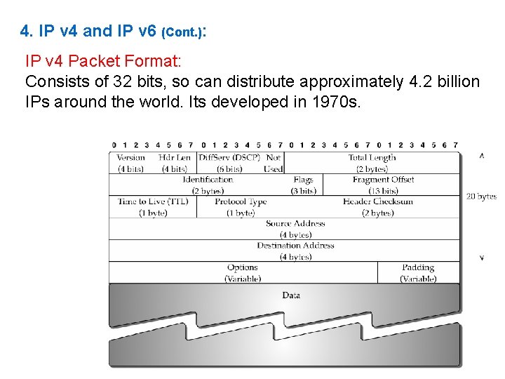 4. IP v 4 and IP v 6 (Cont. ): IP v 4 Packet