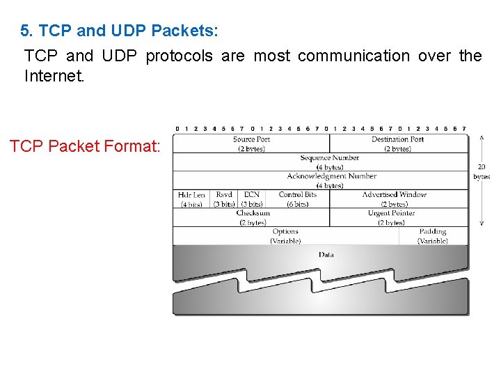 5. TCP and UDP Packets: TCP and UDP protocols are most communication over the