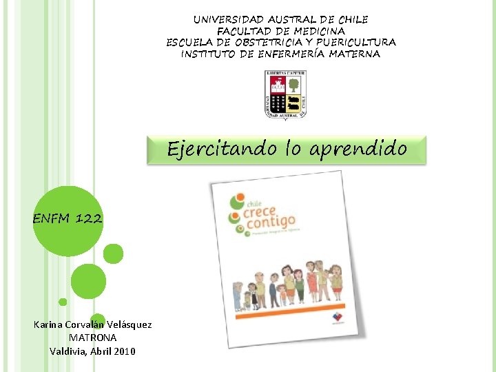 UNIVERSIDAD AUSTRAL DE CHILE FACULTAD DE MEDICINA ESCUELA DE OBSTETRICIA Y PUERICULTURA INSTITUTO DE