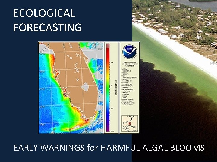 ECOLOGICAL FORECASTING MO EARLY WARNINGS for HARMFUL ALGAL BLOOMS 