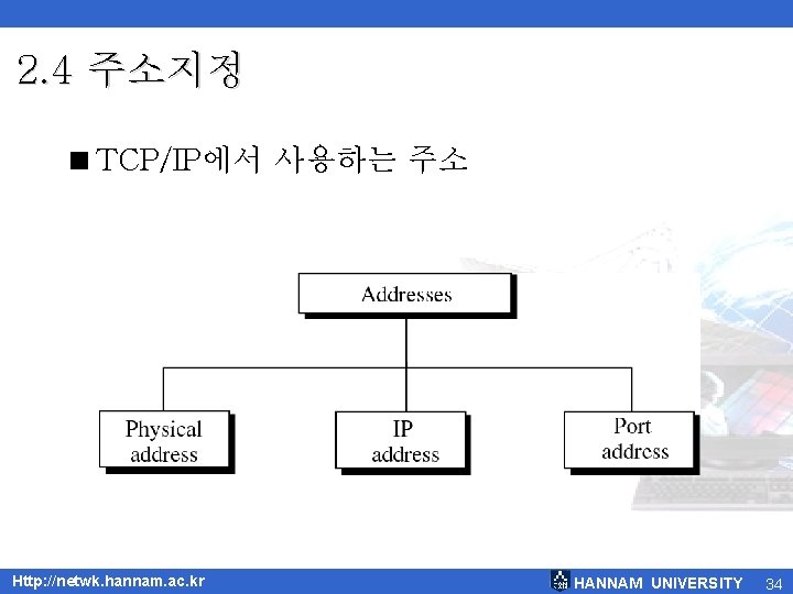 2. 4 주소지정 <TCP/IP에서 사용하는 주소 Http: //netwk. hannam. ac. kr HANNAM UNIVERSITY 34