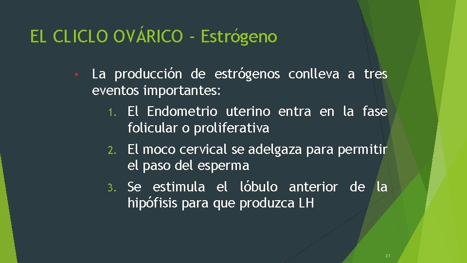 EL CLICLO OVÁRICO - Estrógeno • La producción de estrógenos conlleva a tres eventos