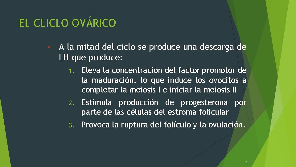 EL CLICLO OVÁRICO • A la mitad del ciclo se produce una descarga de