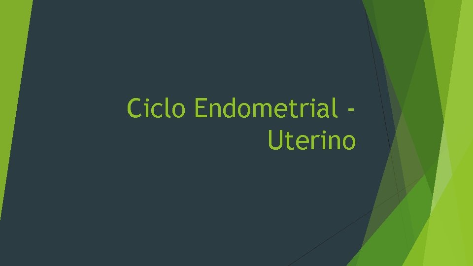 Ciclo Endometrial Uterino 