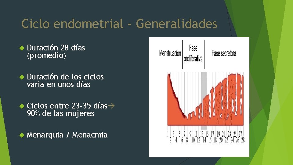 Ciclo endometrial - Generalidades Duración 28 días (promedio) Duración de los ciclos varia en