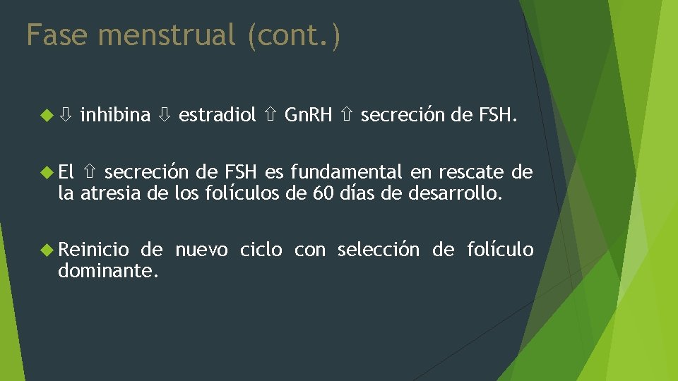 Fase menstrual (cont. ) inhibina estradiol Gn. RH secreción de FSH. El secreción de