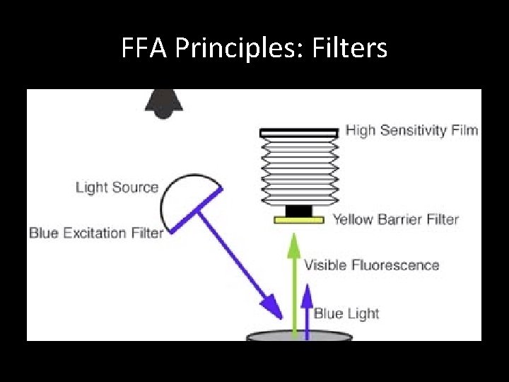 FFA Principles: Filters 