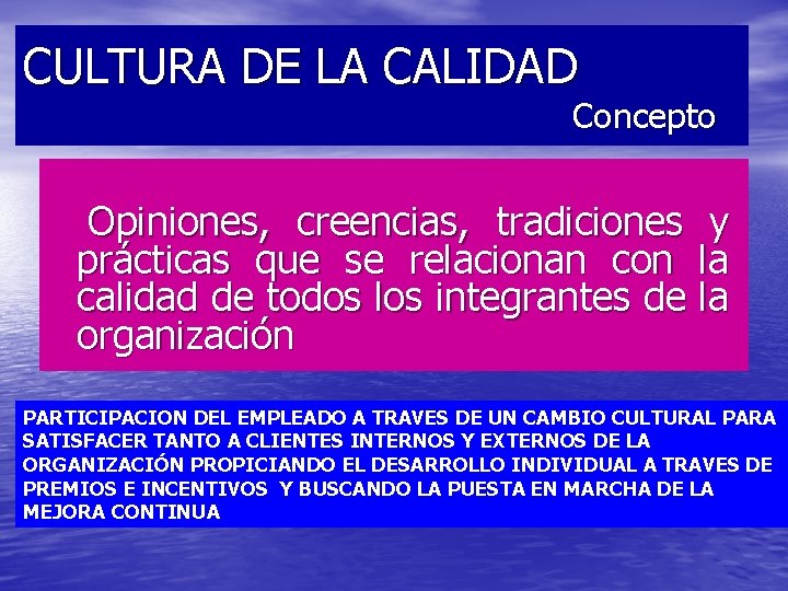 CULTURA DE LA CALIDAD Concepto Opiniones, creencias, tradiciones y prácticas que se relacionan con