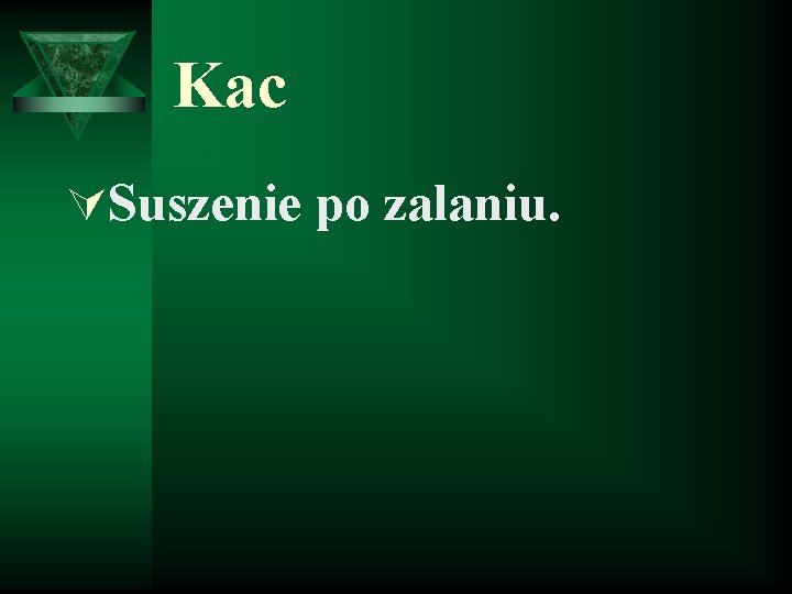 Kac ÚSuszenie po zalaniu. 