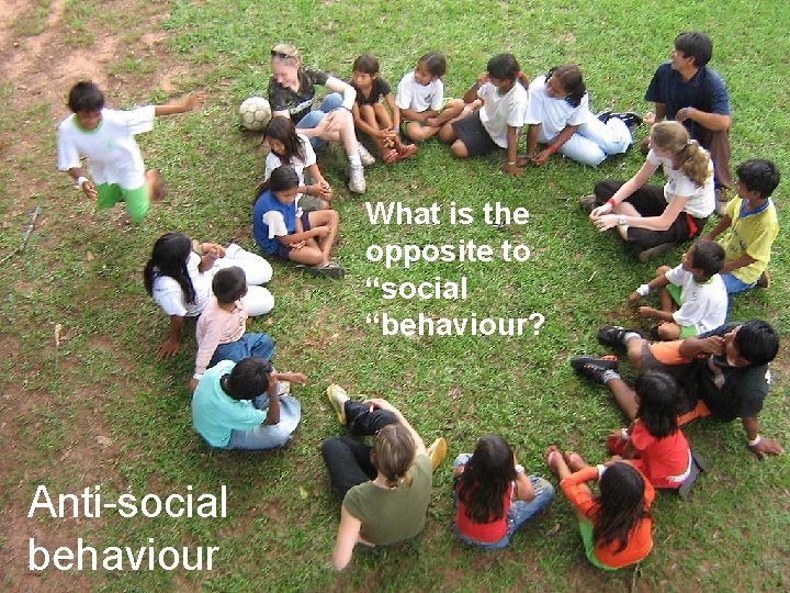 What is the opposite to “social “behaviour? Anti-social behaviour 16 