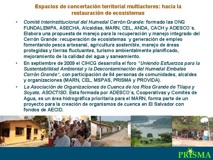 Espacios de concertación territorial multiactores: hacia la restauración de ecosistemas • • • Comité