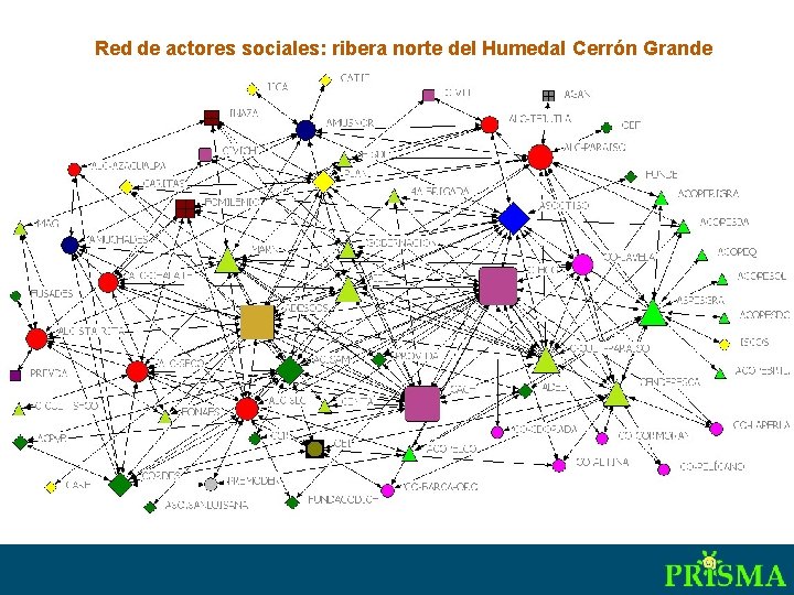 Red de actores sociales: ribera norte del Humedal Cerrón Grande 