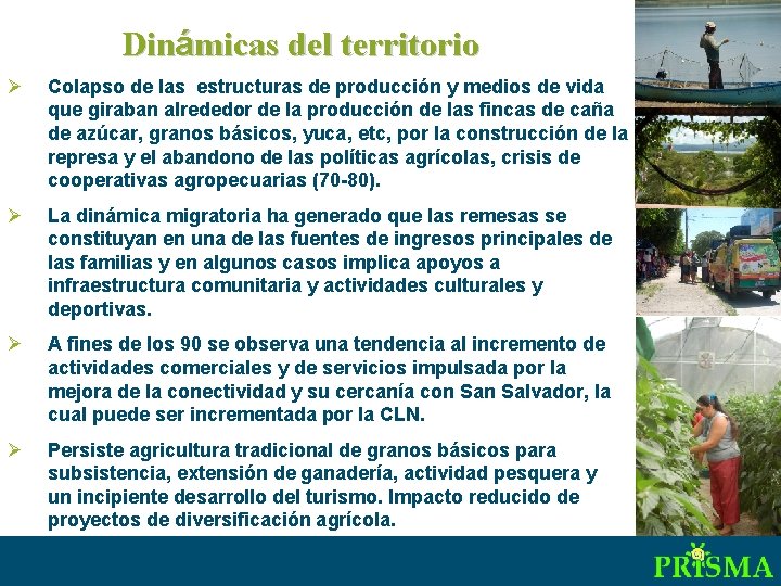 Dinámicas del territorio Ø Colapso de las estructuras de producción y medios de vida