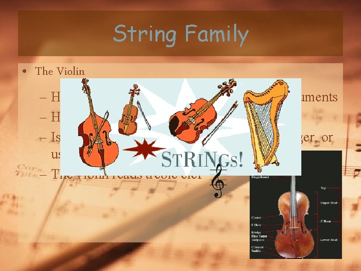 String Family • The Violin – Highest sounding from all of the string instruments