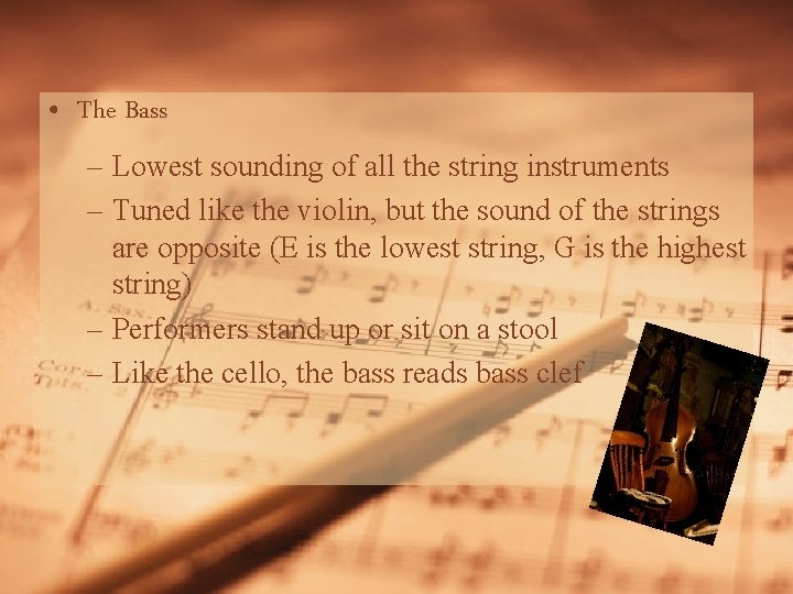  • The Bass – Lowest sounding of all the string instruments – Tuned